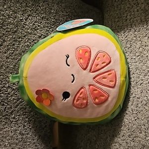 Watermelon Squishmallow